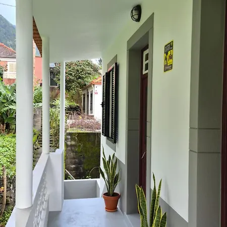 Casa Palmeiras, , Madeira 别墅 塞沙尔