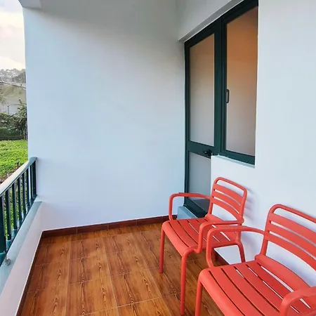 Casa Palmeiras, , Madeira