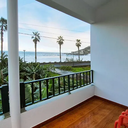 Casa Palmeiras, , Madeira *